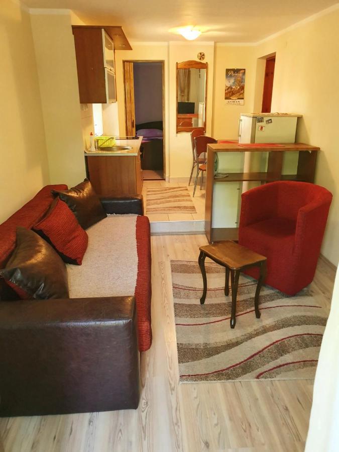Apartman Sergej 2 Soko Banja Ngoại thất bức ảnh